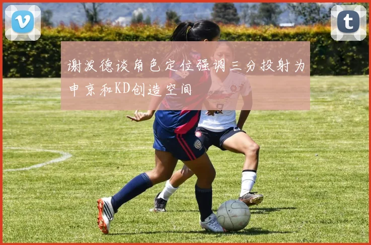 谢泼德谈角色定位强调三分投射为申京和KD创造空间